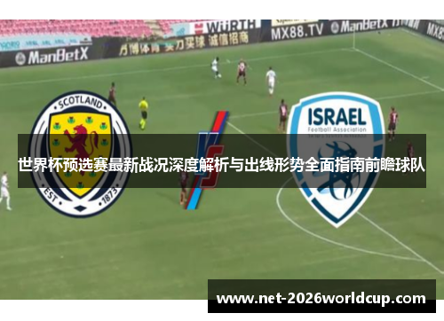 世界杯预选赛最新战况深度解析与出线形势全面指南前瞻球队